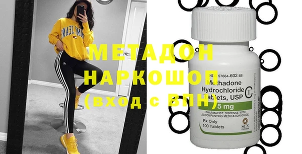 дживик Инта