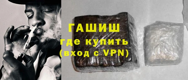 дживик Инта