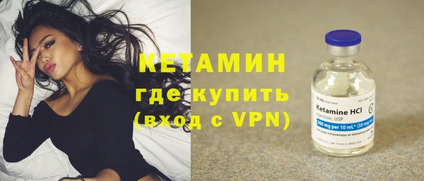 дживик Инта