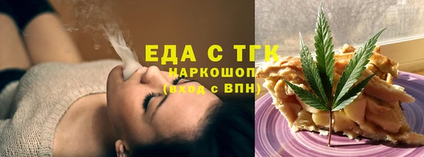 дживик Инта