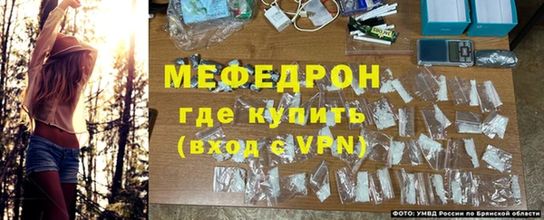дживик Инта