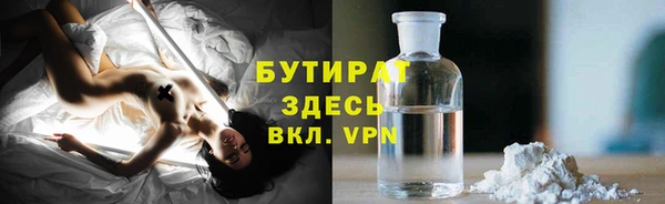 дживик Инта