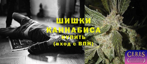 дживик Инта