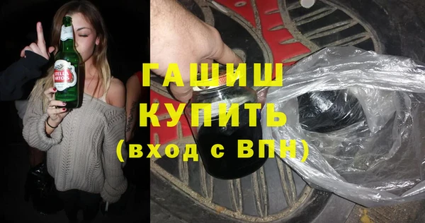 дживик Инта