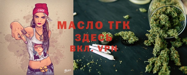дживик Инта