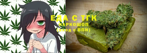 дживик Инта