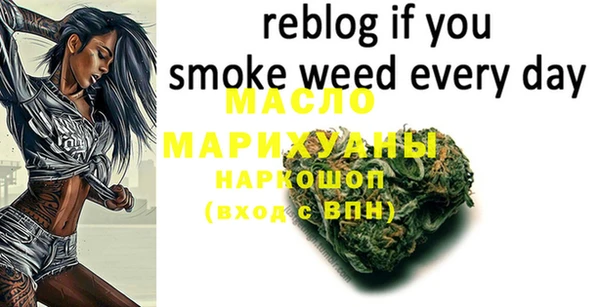 дживик Инта
