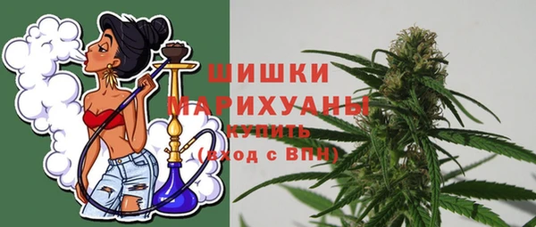дживик Инта