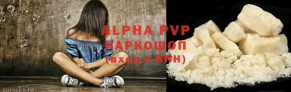 дживик Инта