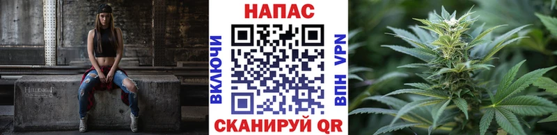 Купить где Болотное Марихуана Amnesia